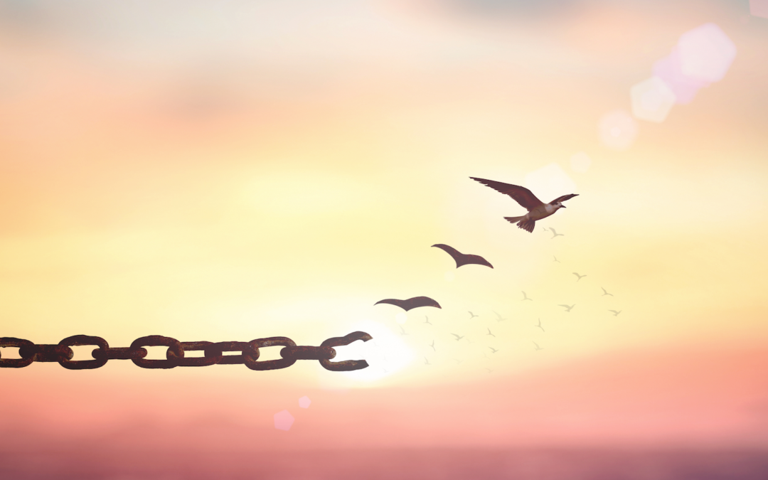 LA VIDA ES UN ESPEJO QUE REFLEJA NUESTRO INTERIOR