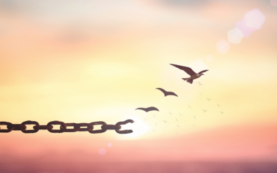 LA VIDA ES UN ESPEJO QUE REFLEJA NUESTRO INTERIOR