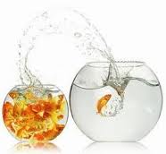 ACTIVA TU MEJOR VERSIÓN.