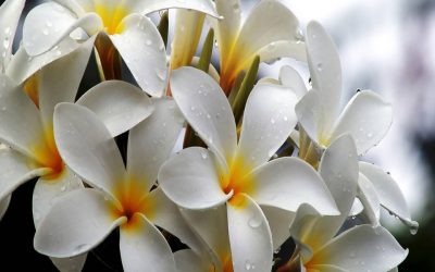 Nuevo ciclo, nuevos comienzos.