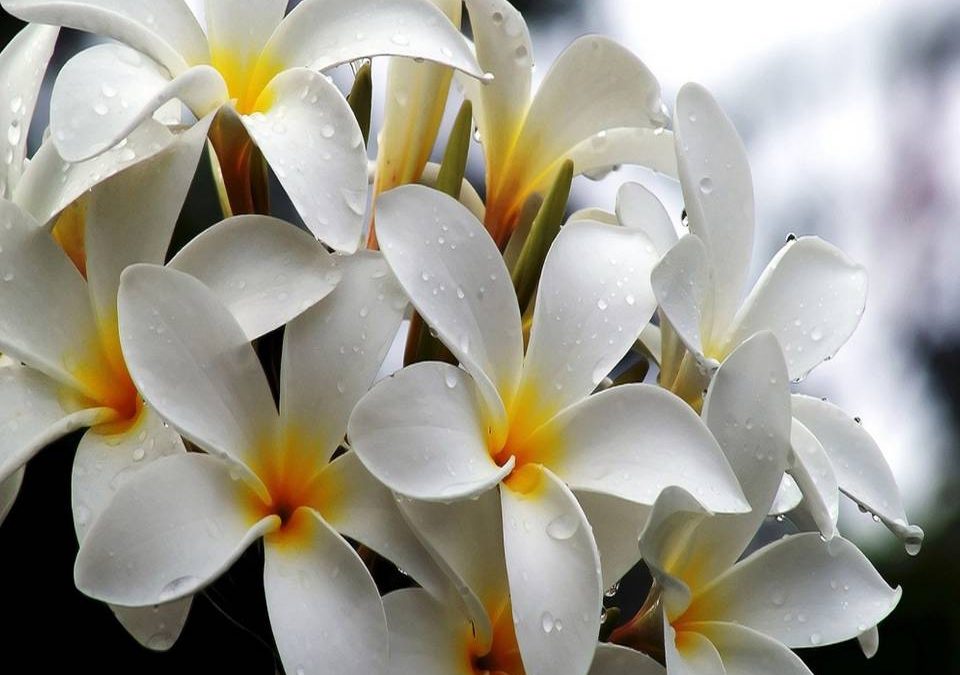 Nuevo ciclo, nuevos comienzos.