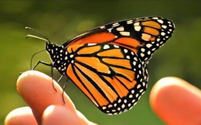 Una historia inspiradora.