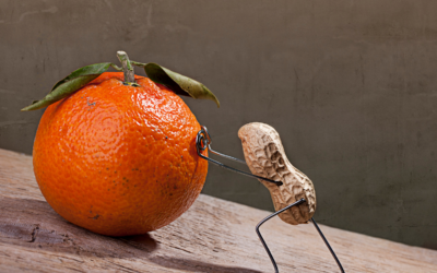 Las 24 fortalezas del ser humano.