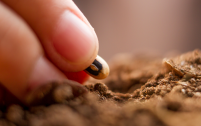 El error es la semilla del éxito