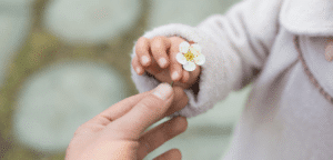 El recuerdo agradecido.