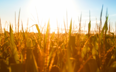 Cuando el enemigo está dentro de nuestra mente, autosabotaje