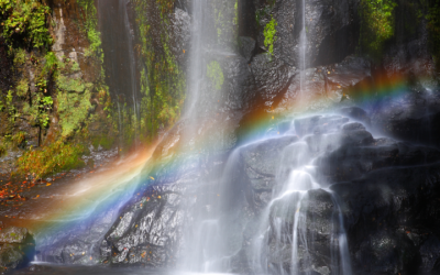 Los tres elementos base de la asertividad