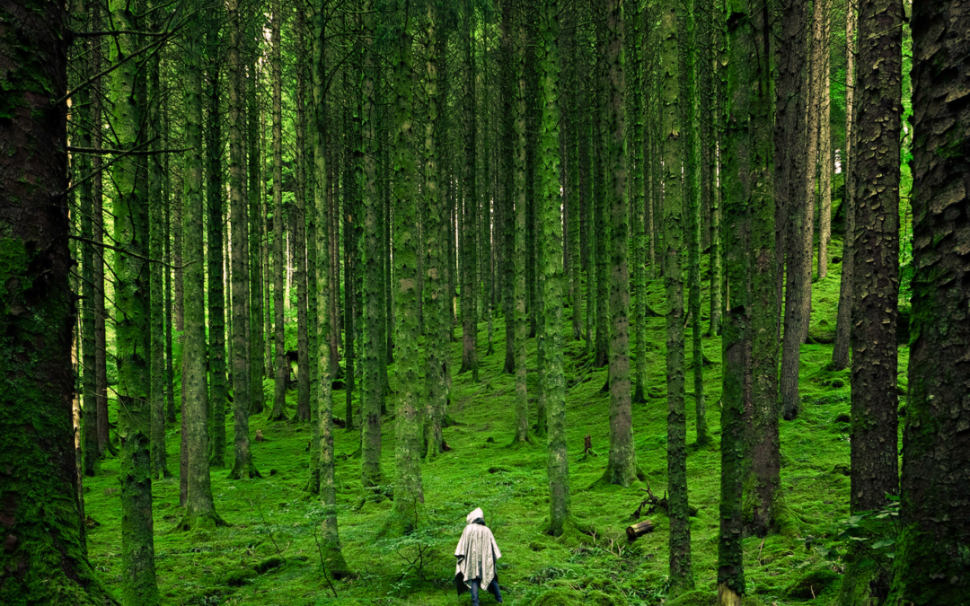 El enojo que resuelve