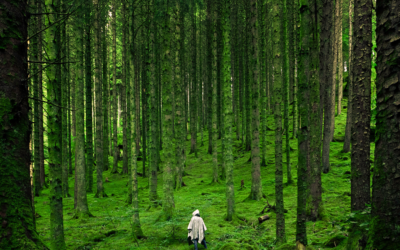 El enojo que resuelve