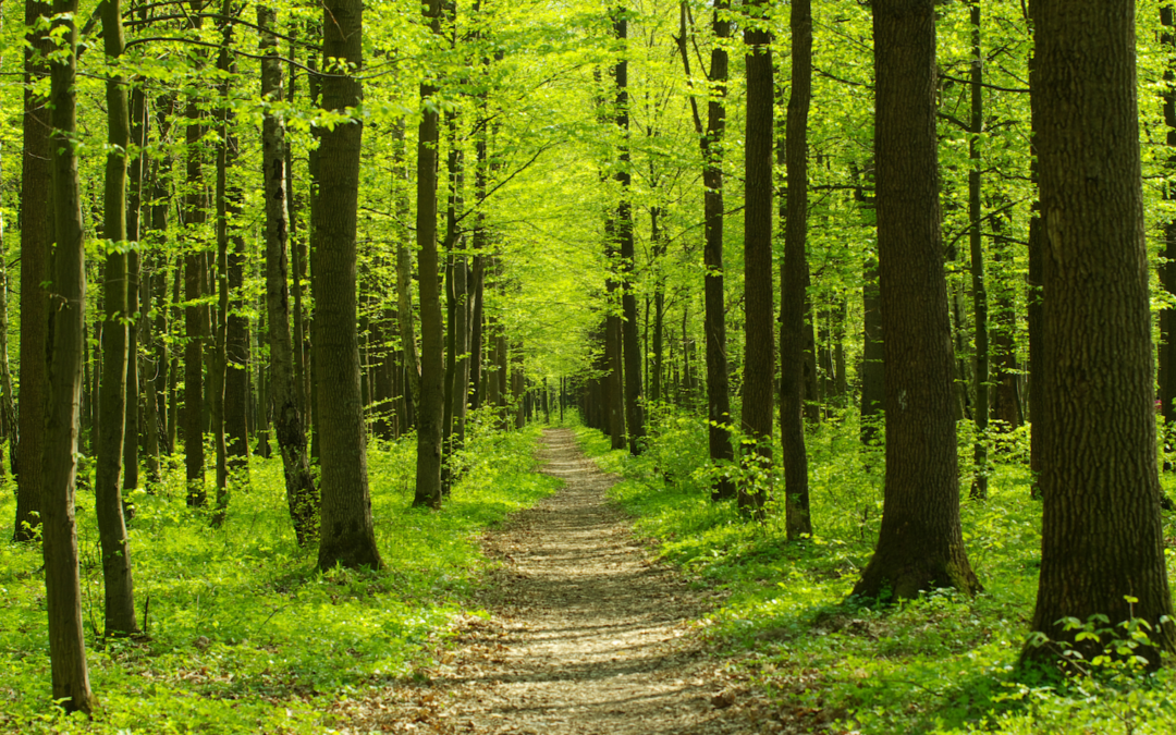 Descubre el Secreto: ¿Realmente Gestionas Bien tus Emociones?