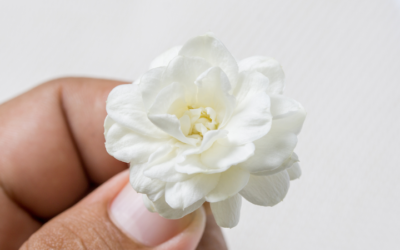 Cómo lograr que la negatividad no te torture nunca más