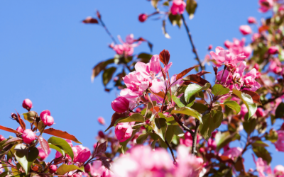 El método para comprender el miedo en 2 pasos sencillos