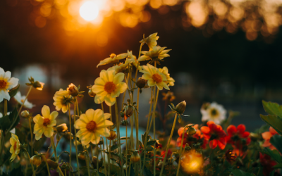 Cómo el autoliderazgo puede mejorar tus relaciones interpersonales