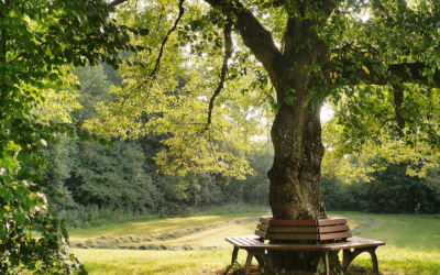 Si hoy no fueras a hacer lo que vas a hacer ¿qué harias?