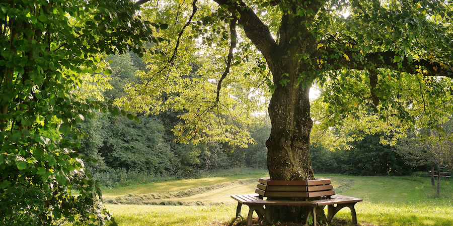 Si hoy no fueras a hacer lo que vas a hacer ¿qué harias?