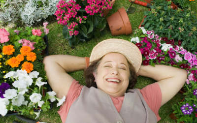 Vale ya de tanta ira