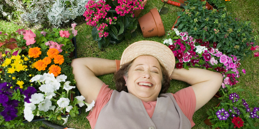 Vale ya de tanta ira