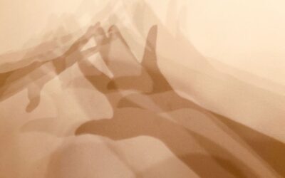 Como hacer las paces con tu sombra