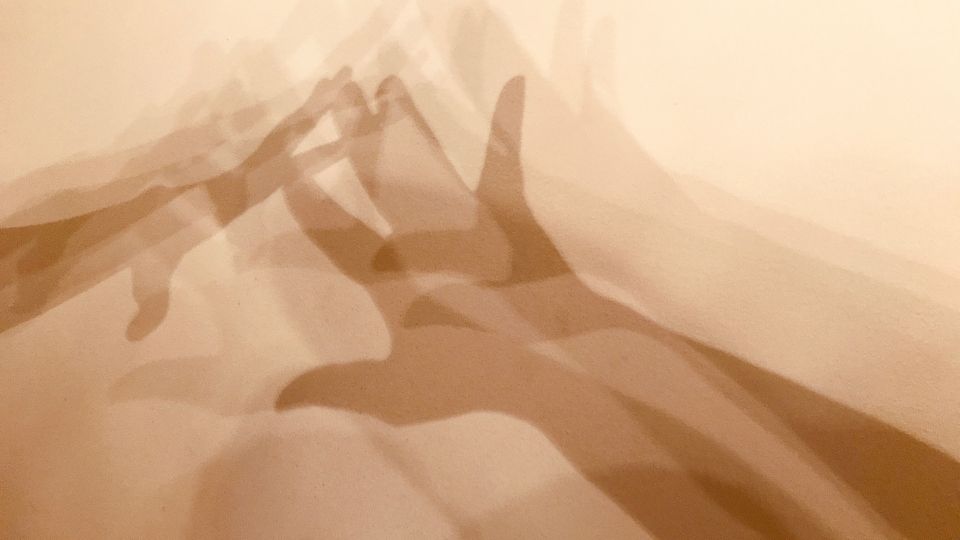 Como hacer las paces con tu sombra